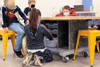 Chameleon Classroom System - CEF