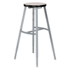 Titan High Pressure Laminate Seat Stool - NPS TTSG **30"H - Adjustable Height**