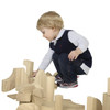 Nursery Blocks - 17 Shapes, 93 Pieces - Wood Designs WD60300