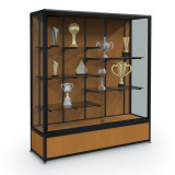 Free Standing Trophy Cases