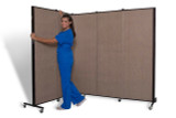 Healthflex Privacy Screen