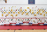 Indoor Climbing Walls