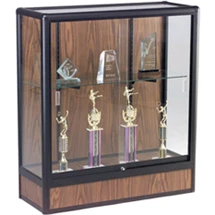 Display Cases and Trophy Case Buying Guide