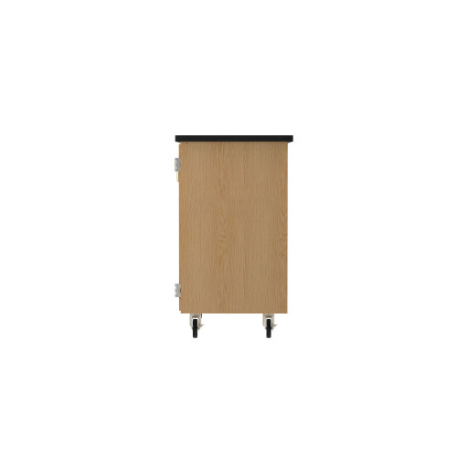 Diversified 4751 Access Touchdown Tote Cabinet