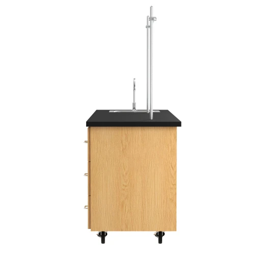 Diversified 4352 Kinetic ADA Lab Station with Sink and Rod Sockets