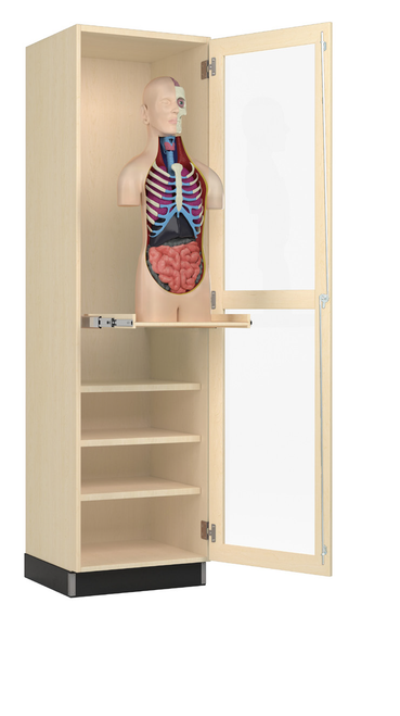 *Torso Not Included*
Maple
PerpetuLab Torso Cabinet
Diversified 374-2422M