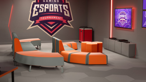 Environmental E-Sports Package - Paragon Environmental E-Sports Package - Paragon