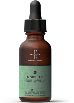 ALCOTT Bamboo Groom Curry Brush w Rubber Bristles N274-KW01PAW16245