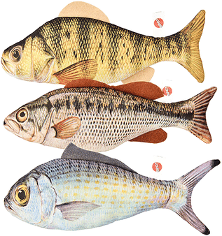 ETHICAL Chrome Litter Scoop N274-KW01E2745