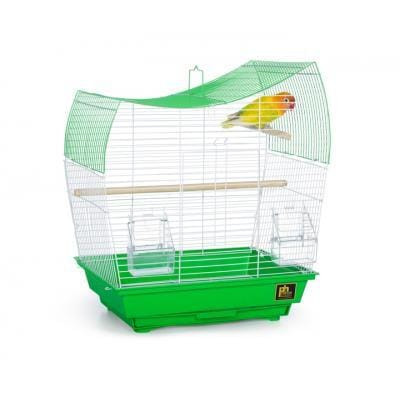 Prevue Pet South beach Green or White Wave Top
