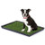 Tinkle Turf Medium