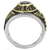 Two-Tone IP Gold (Ion Plating) Stainless Steel Ring with Synthetic Synthetic Glass in Mont
