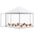 13FT Large Metal Hexagonal Chicken Coop with Wire Mesh and Lockable Door B593-PW10085
