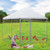 13FT Large Metal Hexagonal Chicken Coop with Wire Mesh and Lockable Door B593-PW10085