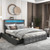 Upholstered Queen LED Bed Frame with Headboard and 4 Drawers-Queen Size - Color: Gray - Size: Queen
