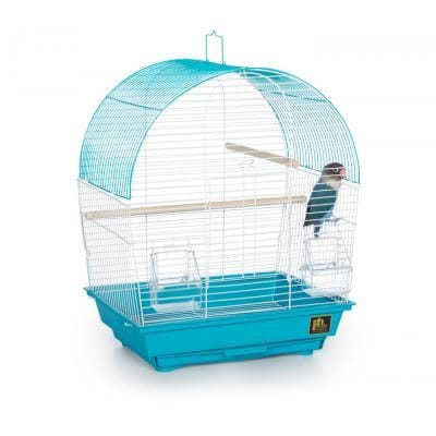 Prevue Pet Southbeach Teal White Dome Top SP50071  N274-PV01SP50071