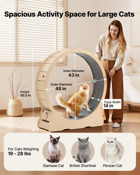 Cat Exercise Wheel, 48 in Wooden Cat Running Wheel for Indoor Cats up to 28 lbs, Cats Treadmill wit