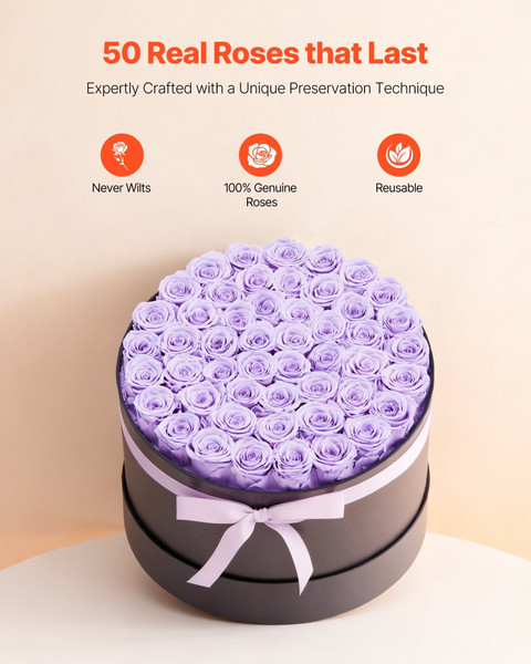 Forever Flowers, 50 Preserved Roses in a Box, Eternal Flowers Immortal Bouquet Birthday Present for