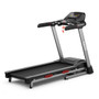 4.75 HP Folding Treadmill with Auto Incline and 20 Preset Programs-Black - Color: Black D681-SP37745WL-DK