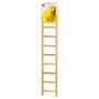 Prevue Pet 9 rung Bird Ladder 385  N274-PV01385