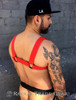 Bulldog Trek Nylon Harness - Rough Trade Gear