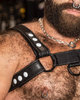 Bulldog Trek Nylon Harness 2.0 - Rough Trade Gear
