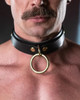 Rex Leather Collar - Fetish Daddy