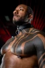 Rex Leather Collar - Fetish Daddy