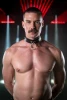 Rex Leather Collar - Fetish Daddy