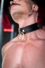 Rex Leather Collar - Fetish Daddy