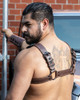 Back of ALPHA BULLDOG LEATHER HARNESS