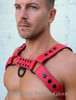 Rough Trade Gear Bulldog Snapped Harness is made out of premium high-quality leather.