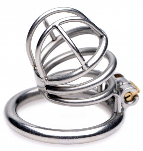 The Pen Deluxe Locking Chastity Cage
