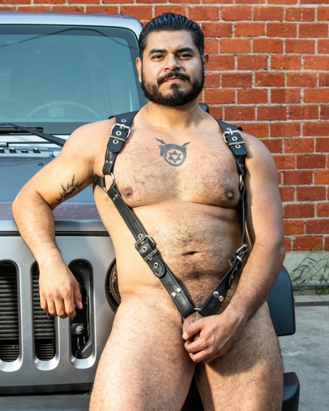 Endurance Leather Harness - Rough Trade Gear