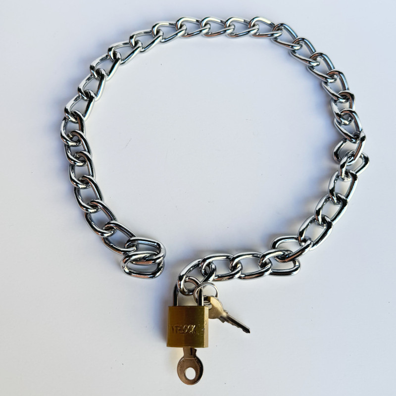 Silver Chain Collar with Brass Lock - Rough Trade Gear