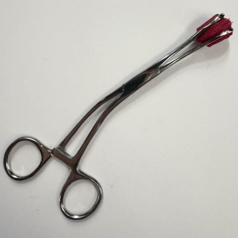 Rubber Jaws Clamp Forceps