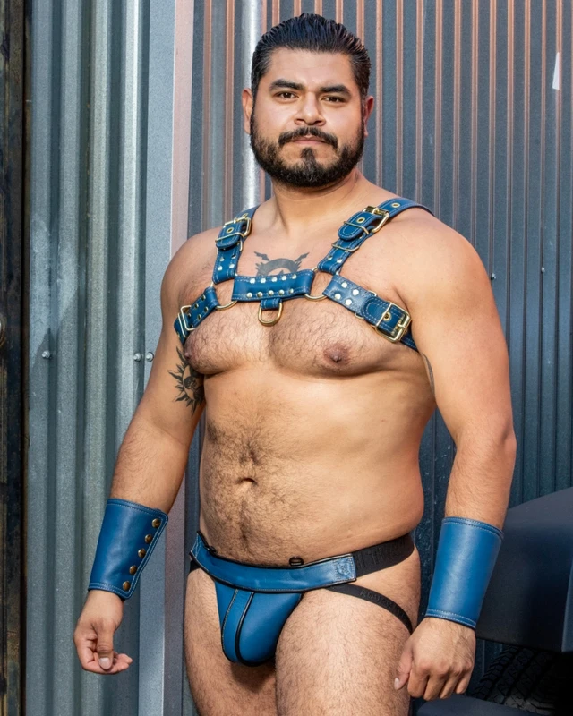 Blue ALPHA BULLDOG LEATHER HARNESS