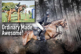 The Art of Equine Elegance: Creating Custom Horse Art 