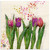 Tulipz Funky Flora Wood Prints Tulipz Funky Flora Wood Prints