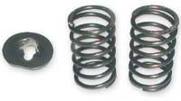 Ski-Doo High RPM Valve Spring Kit