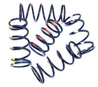 Ski- Doo RER/QRS Driven Spring