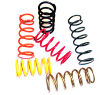 Ski-Doo Primary TRA Spring