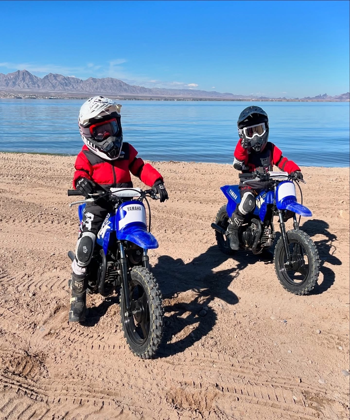 Mason & Max Wendricks