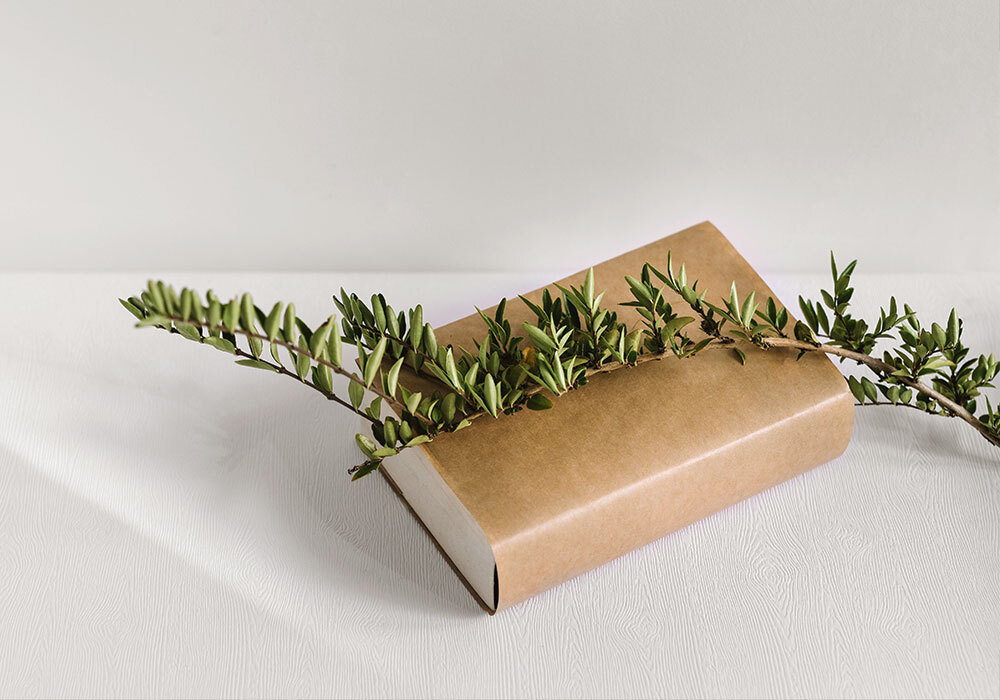 Diccionario de nombres en Farmacia Mirna Hernández en A Coruña