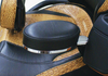 RIVCO Adjustable Passenger Armrests for Can-Am Spyder RT 2010–2017 | CA094 | Lamonster Garage