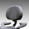 Grande Passenger Backrest for the Can Am® Ryker Models 2019+ (SC-41-420G) - Lamonster Garage®