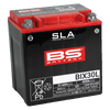 BS Battery BIX30L 12V 400CCA AGM Battery for Polaris Slingshot | 2016 - 2026 | 300631 | Lamonster Garage
