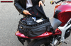 Momentum Roamer Tail Bag (KYN-5214) - Lamonster Garage®
#motorcycle #motorcycleluggage #canamspyder #lamonster