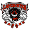 Lamonster® Ram® mount for F3 & RT 2.0 - Lamonster Garage®
