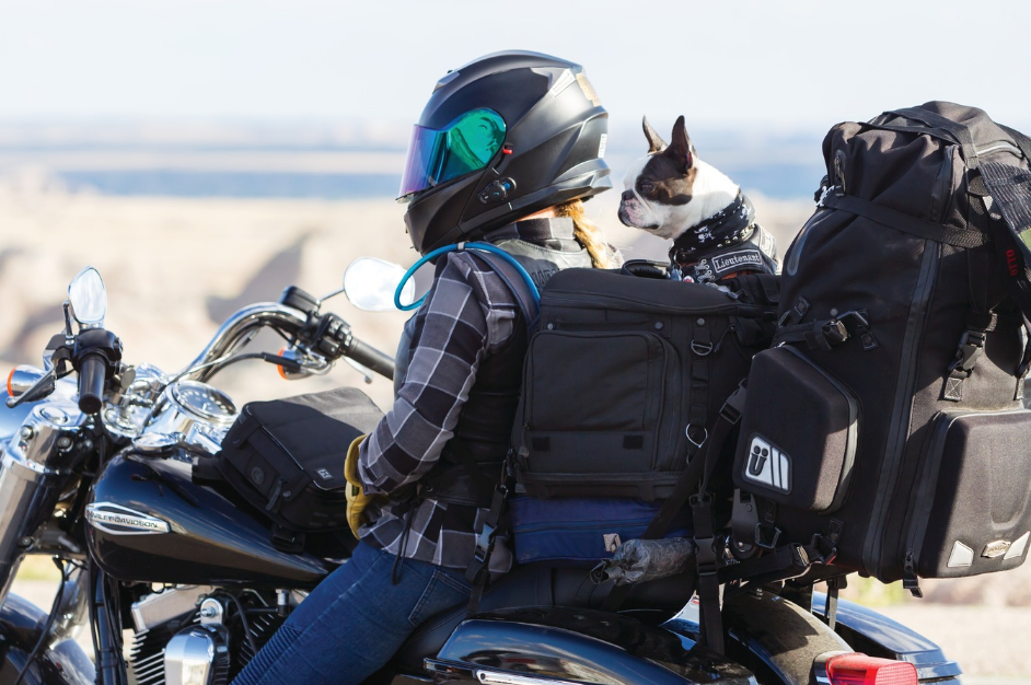 KURYAKYN - Grand Pet Palace (KUR5288) - Lamonster Garage
#motorcyclepetcarrier #motorcycle #kuryakyn #petcarrier